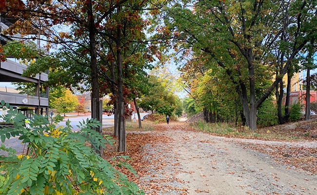 Scenic walking trail in Watertown Cambridge Greenway, surrounded by colorful autumn leaves